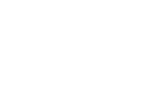 LOGO MOTOROLA V1