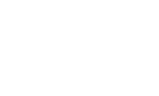 LOGO XIAOMI V1